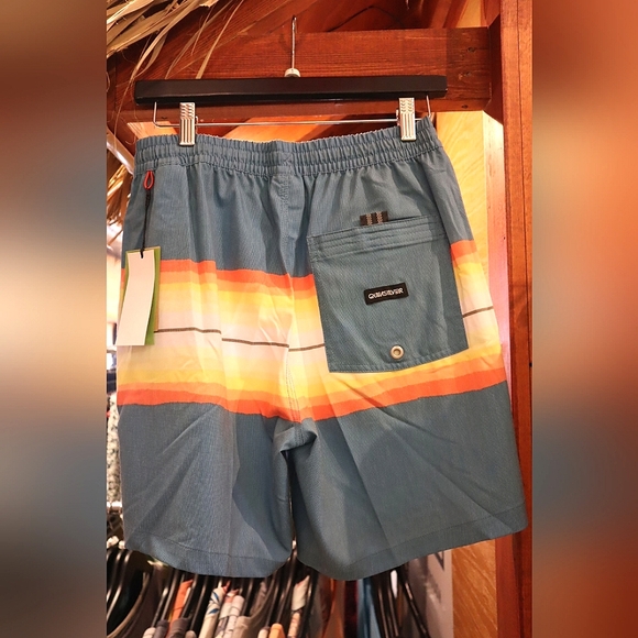 Quick Silver 🌊 Men's Volley Shorts - Picture 4 of 6